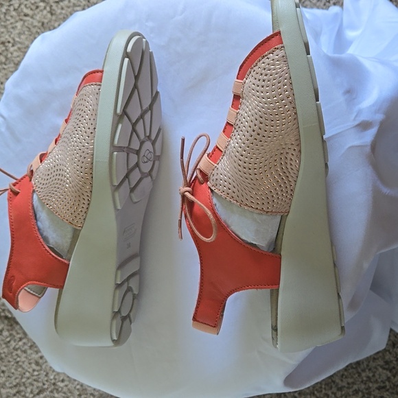 Shoes - Picture 4 of 8